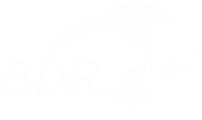 BDR Pharma